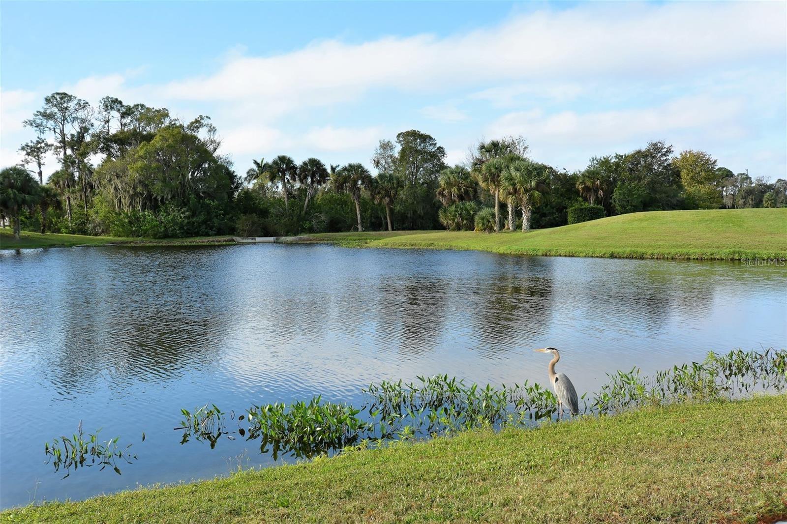 7357 FOUNTAIN PALM CIR #11-102