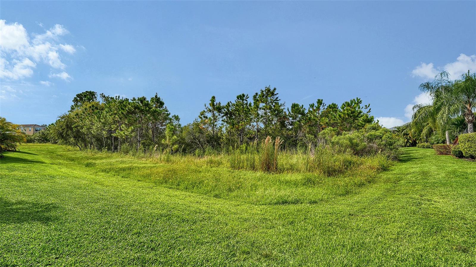 16612 COLLINGTREE XING