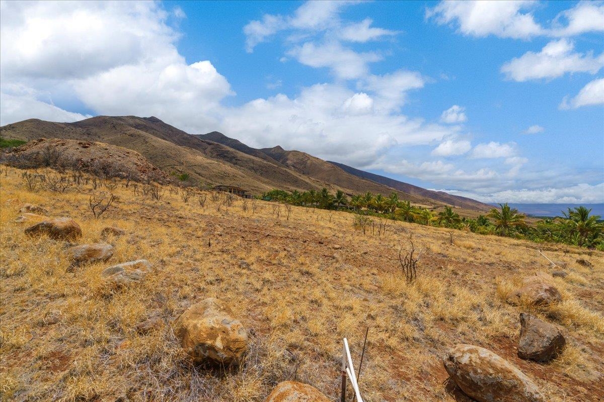 295 Luawai St Unit: 12A