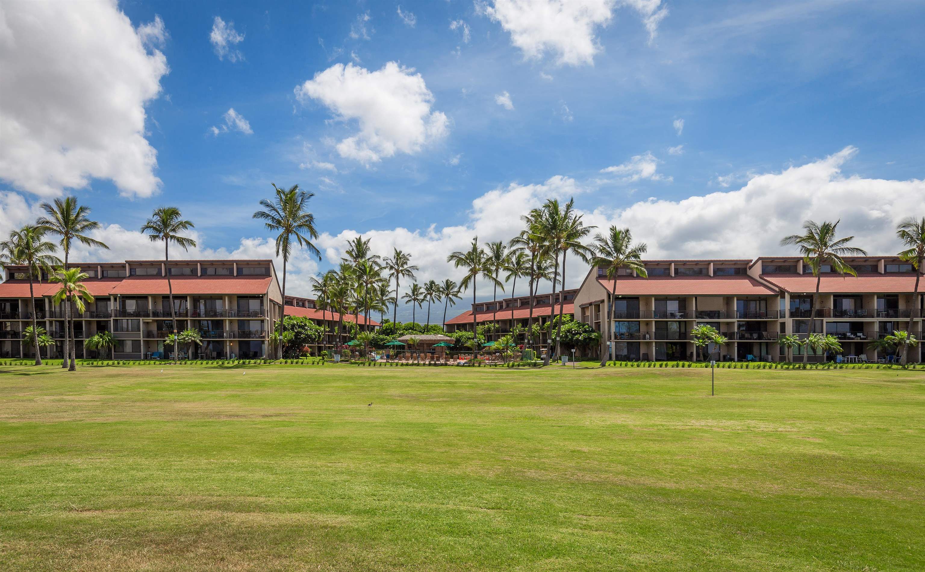 940 S Kihei Rd Unit: B309