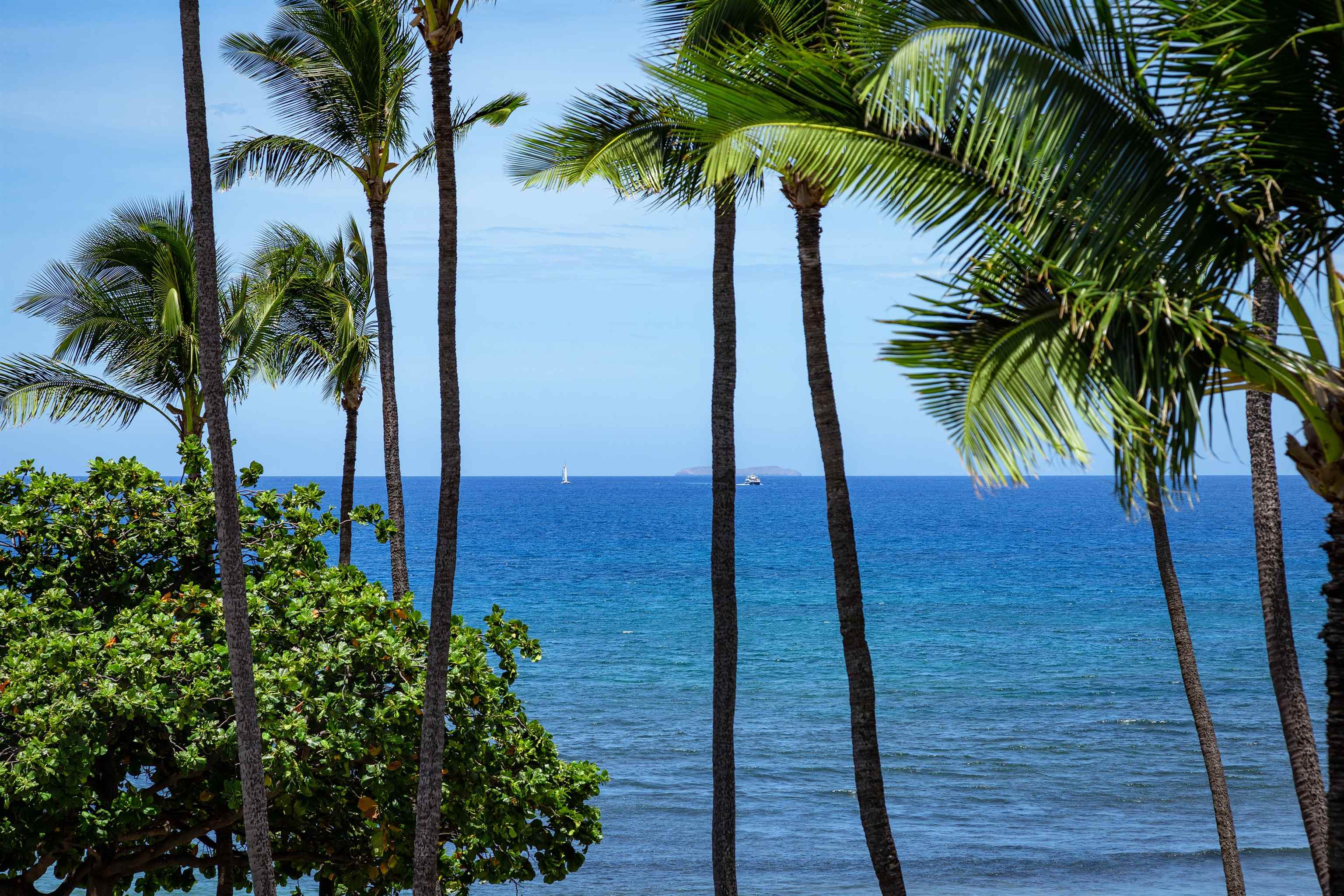 250 Hauoli St Unit: 412