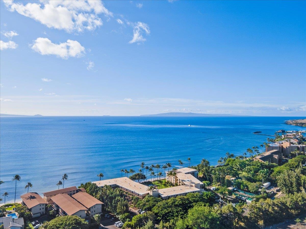 250 Hauoli St Unit: 317