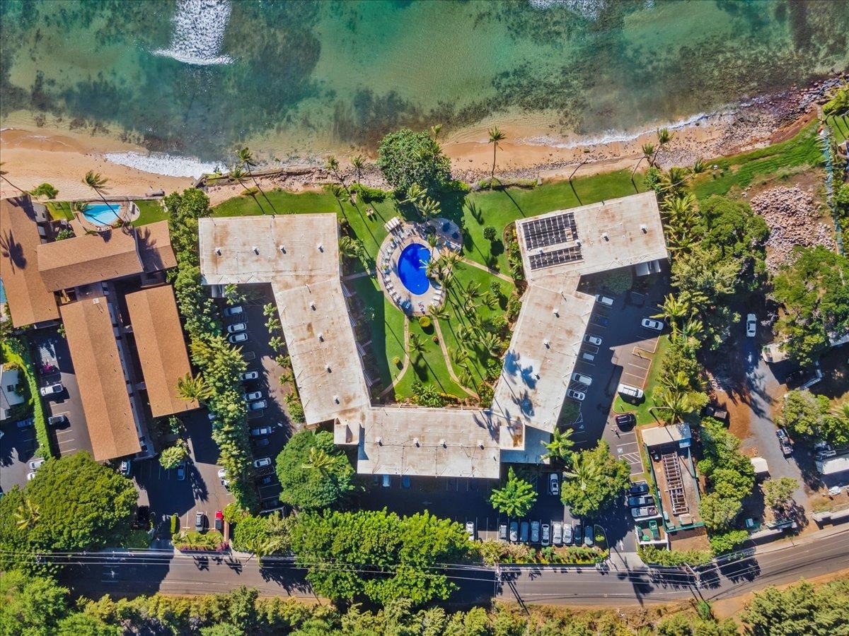 250 Hauoli St Unit: 317