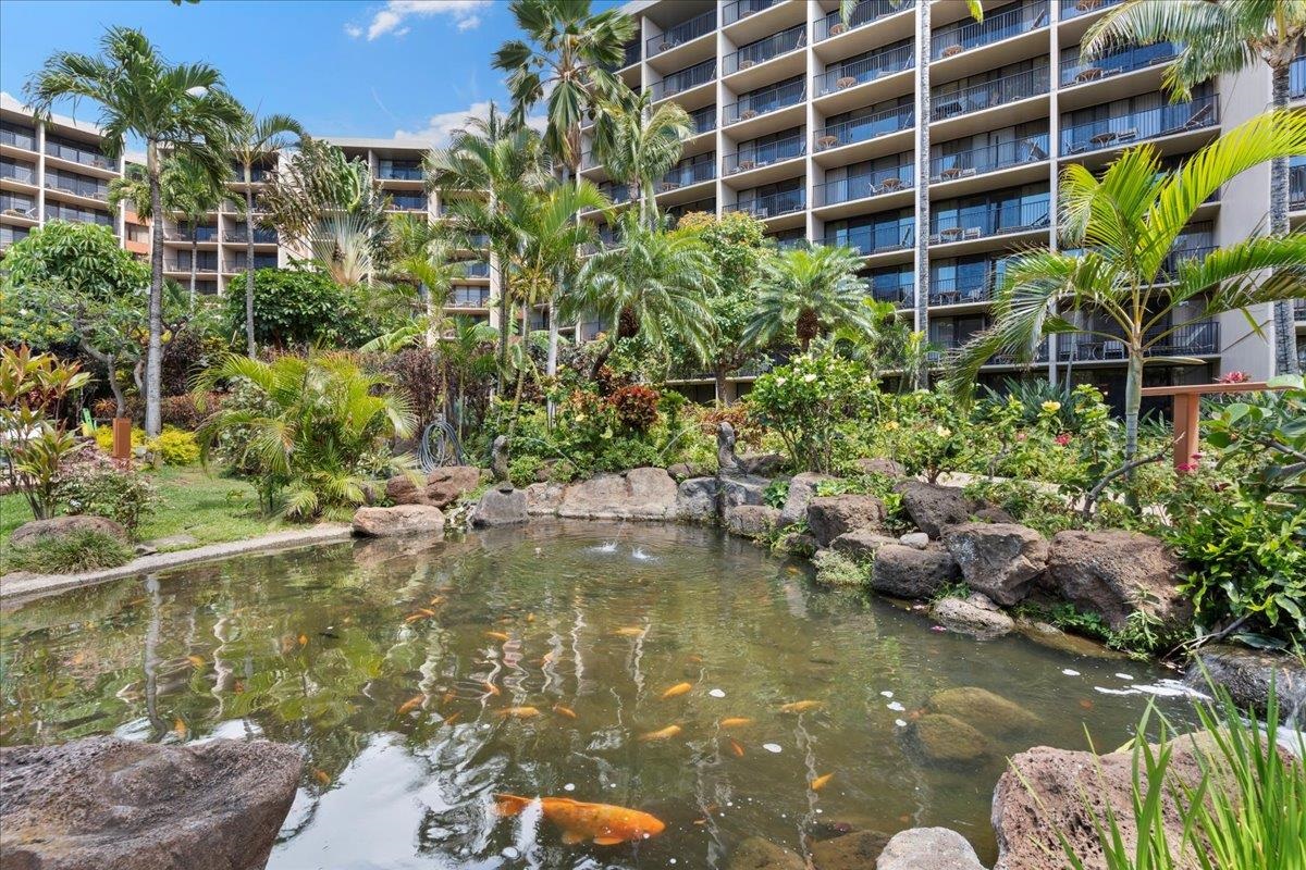3445 Lower Honoapiilani Rd Unit: 423