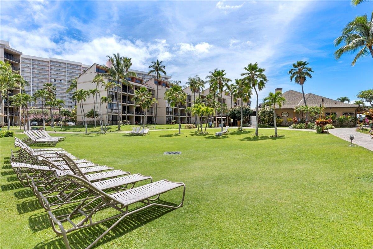 3445 Lower Honoapiilani Rd Unit: 423