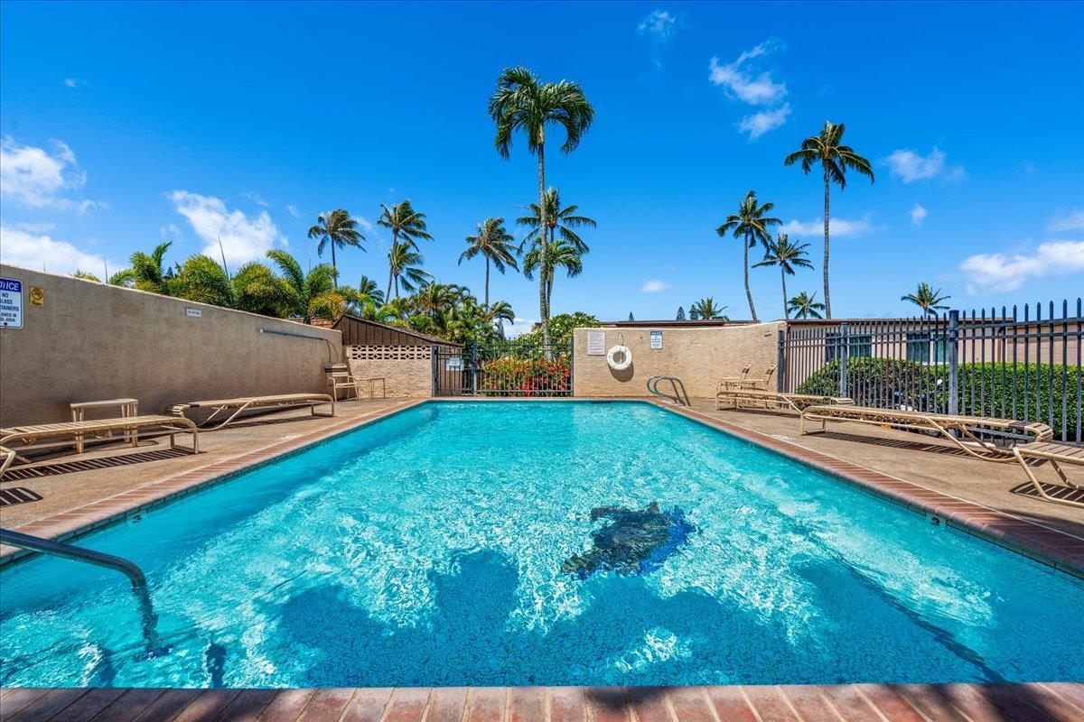 120 HUI RD F Unit: B-4