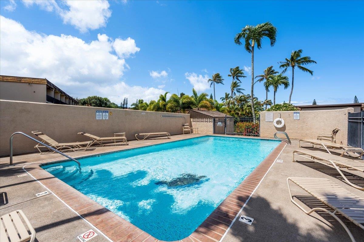 120 HUI RD F Unit: B-4