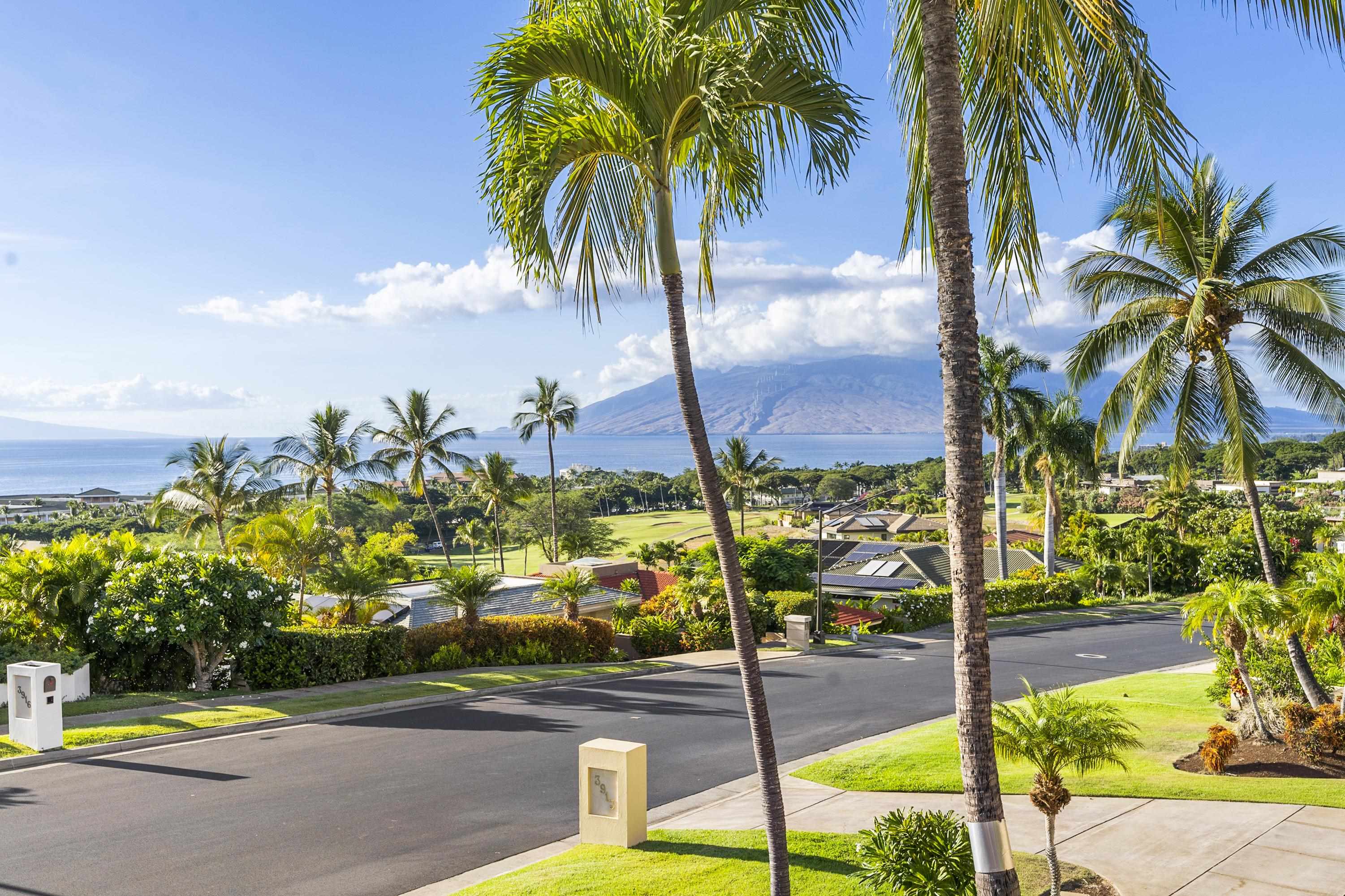 3919 Waakaula Pl