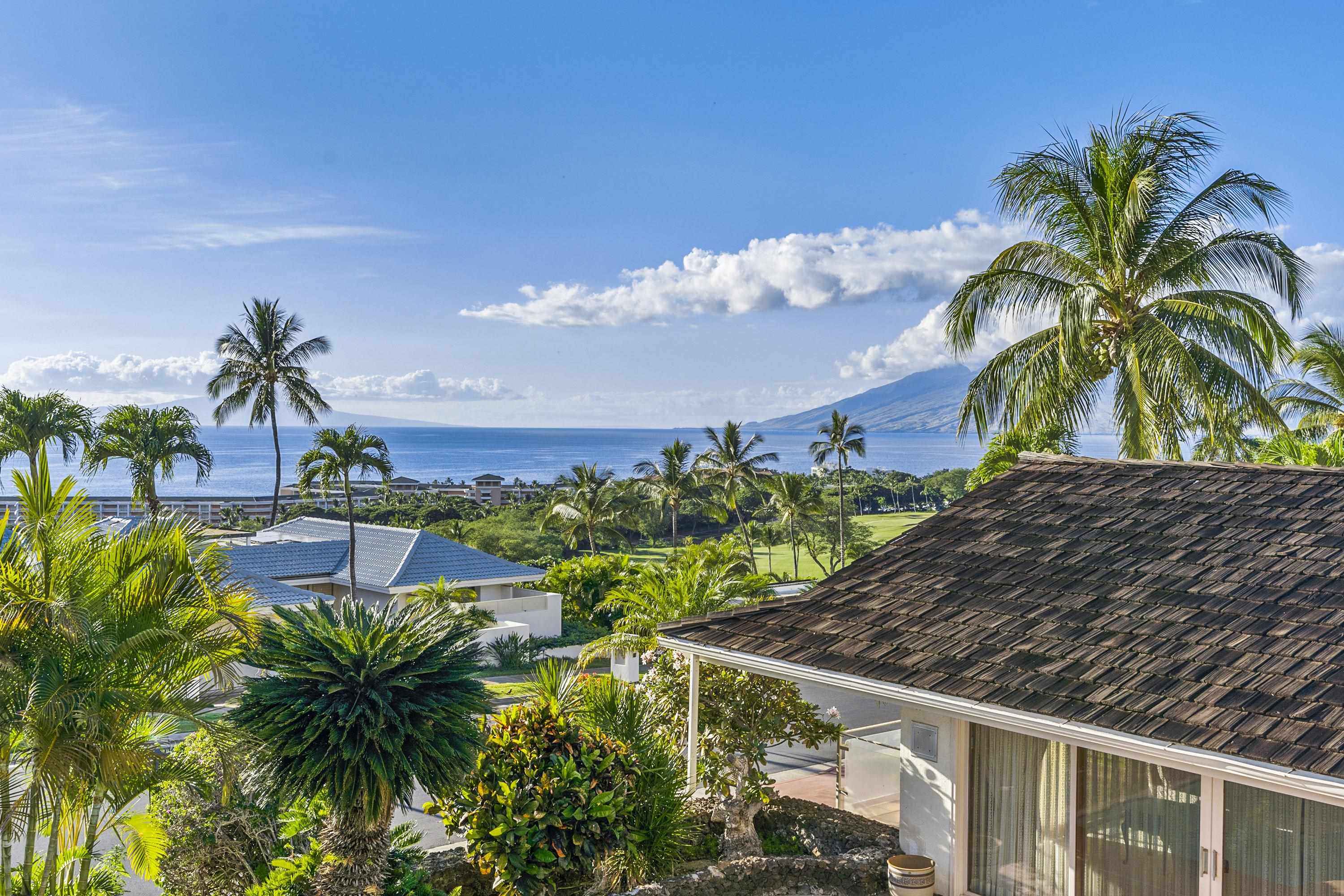 3919 Waakaula Pl