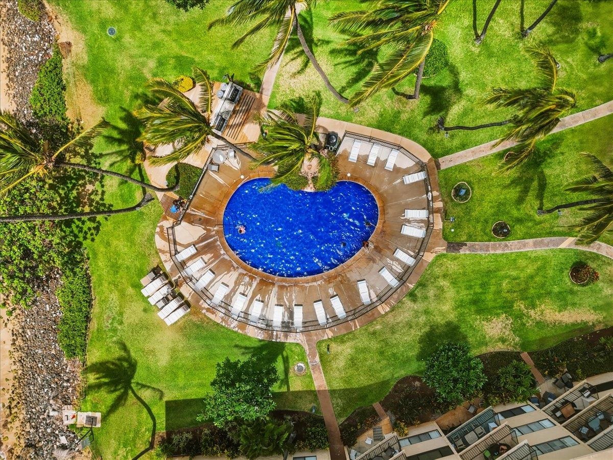 250 Hauoli St Unit: 417