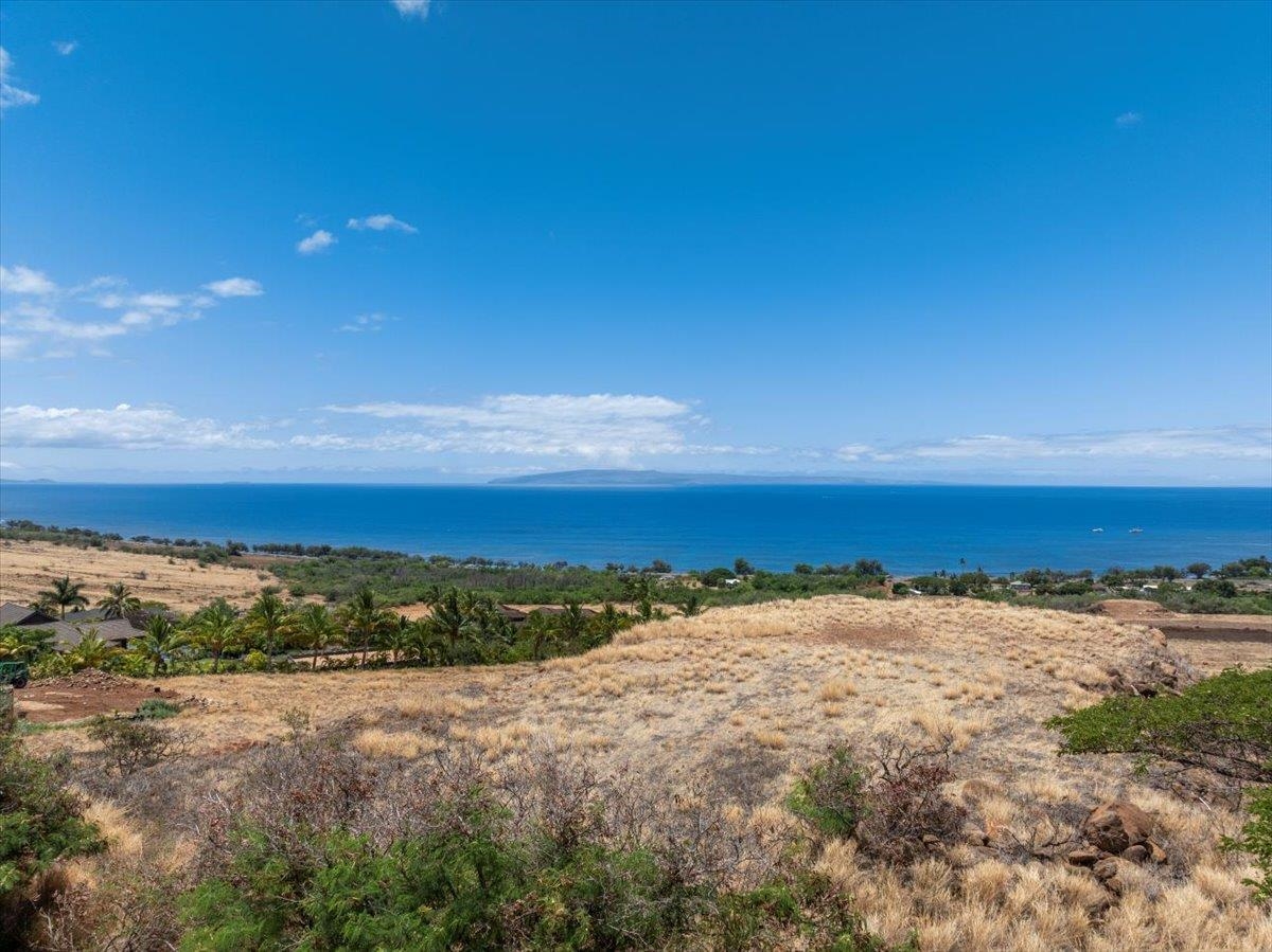Dry hillside overlooking the Pacific Ocean, with scattered homes and a distant island on the horizon.