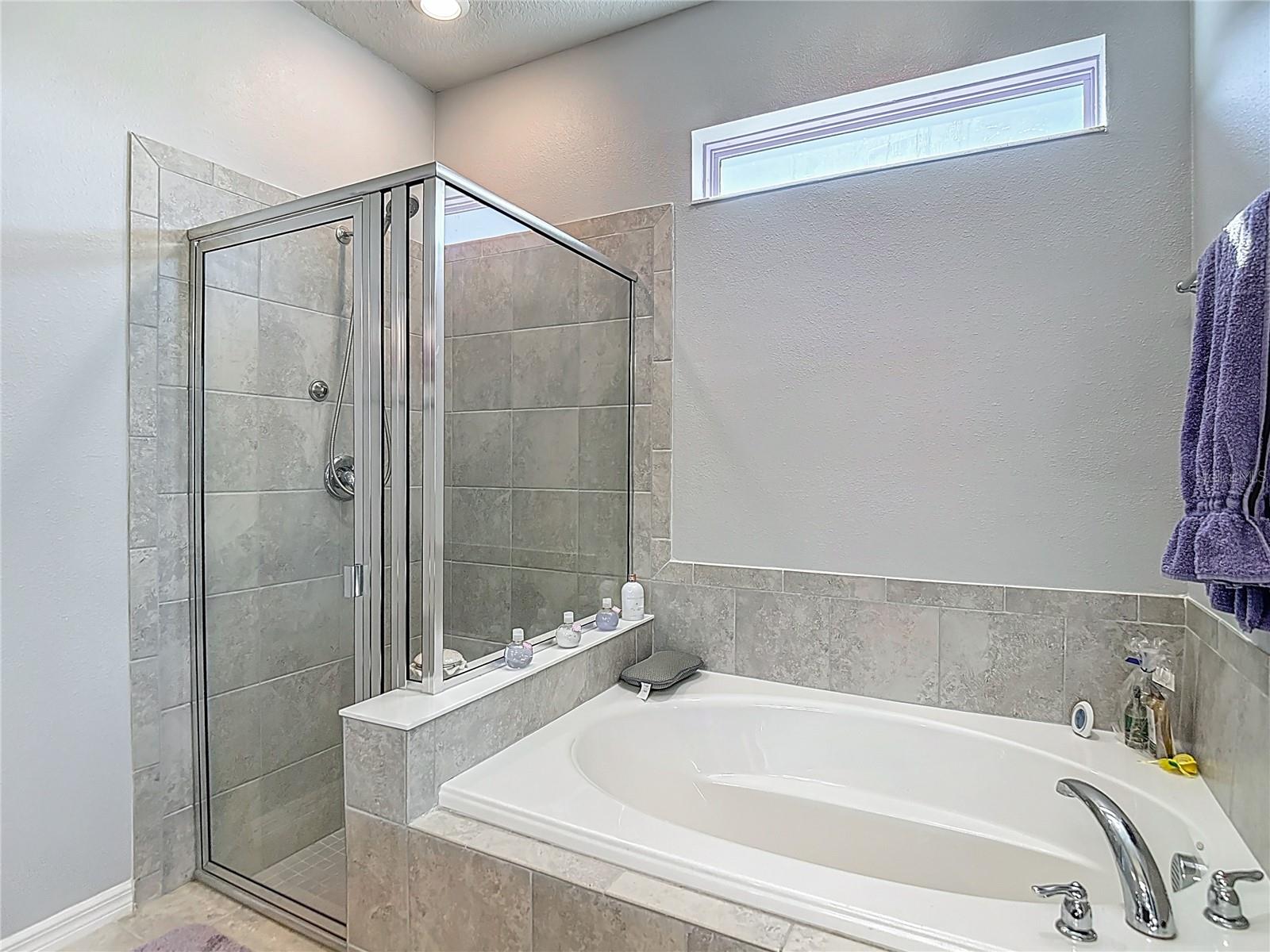 11703 BRIGHTON KNOLL LOOP