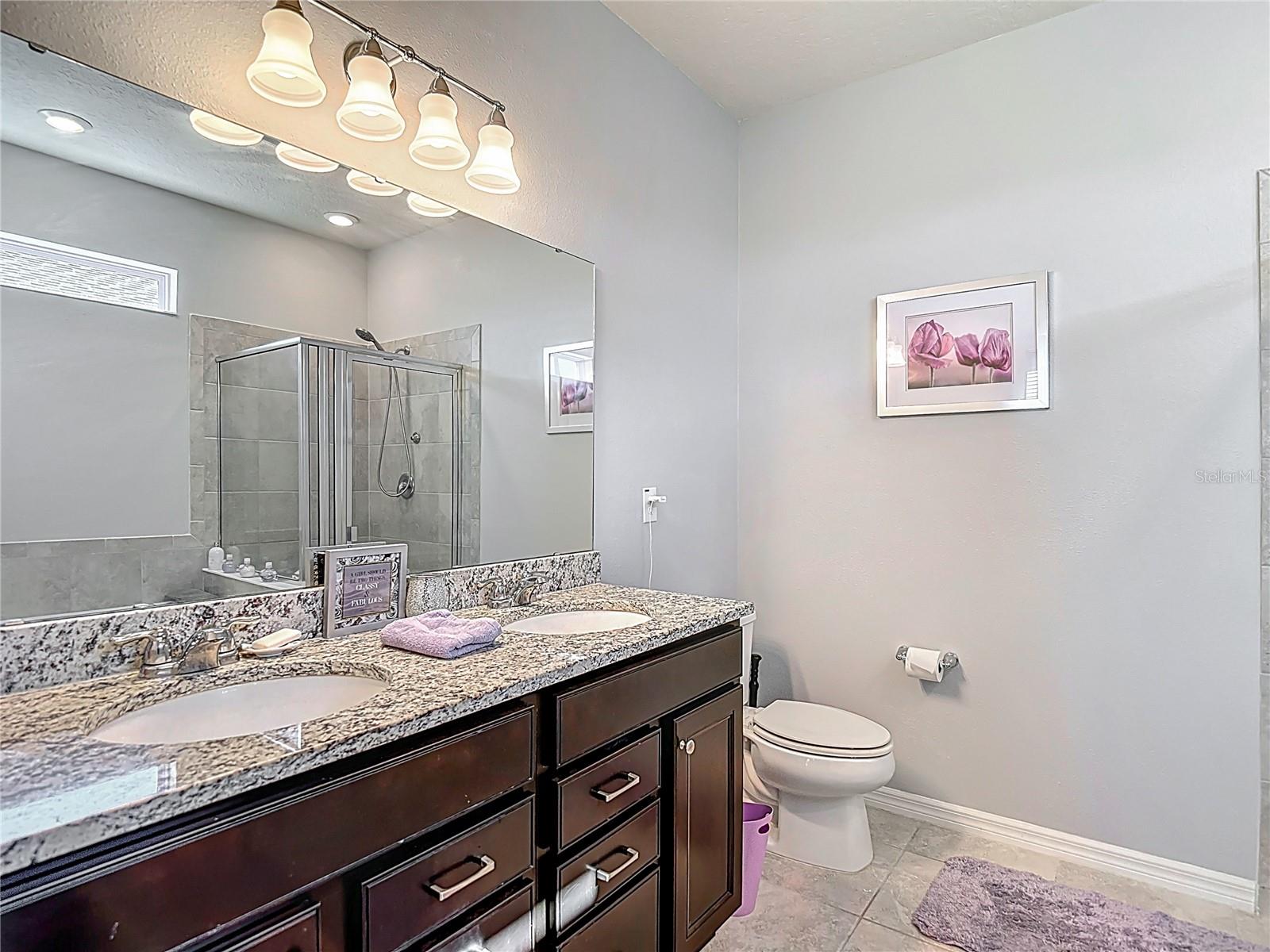 11703 BRIGHTON KNOLL LOOP