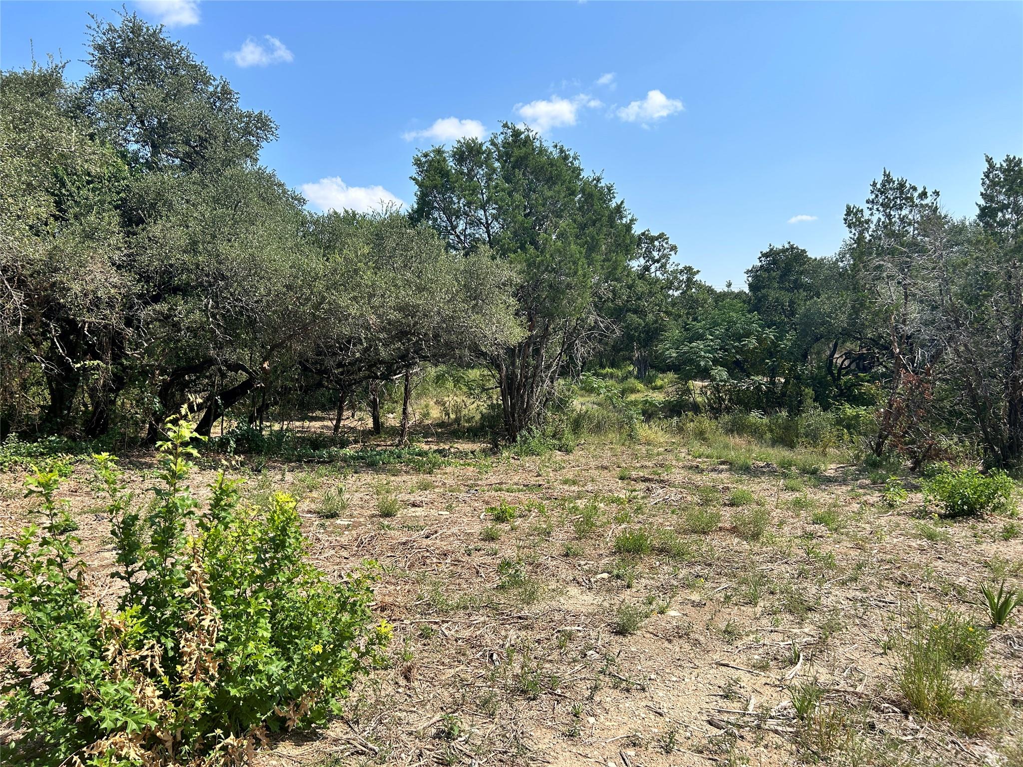 Partially cleared wooded lot with dry ground, native trees, and brush.