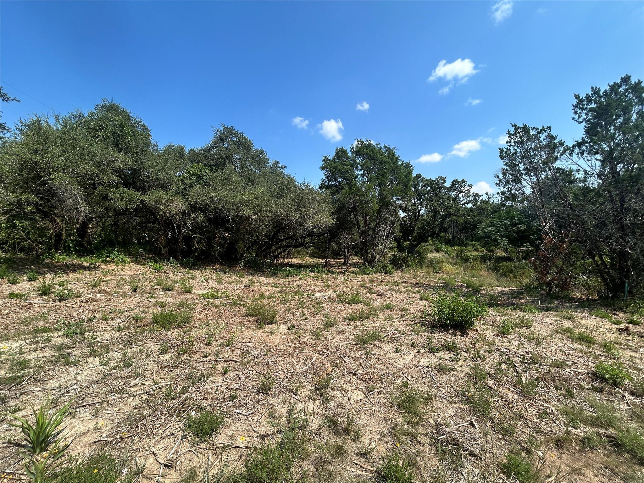 Partially cleared wooded lot with dry ground cover and dense trees at the edges.