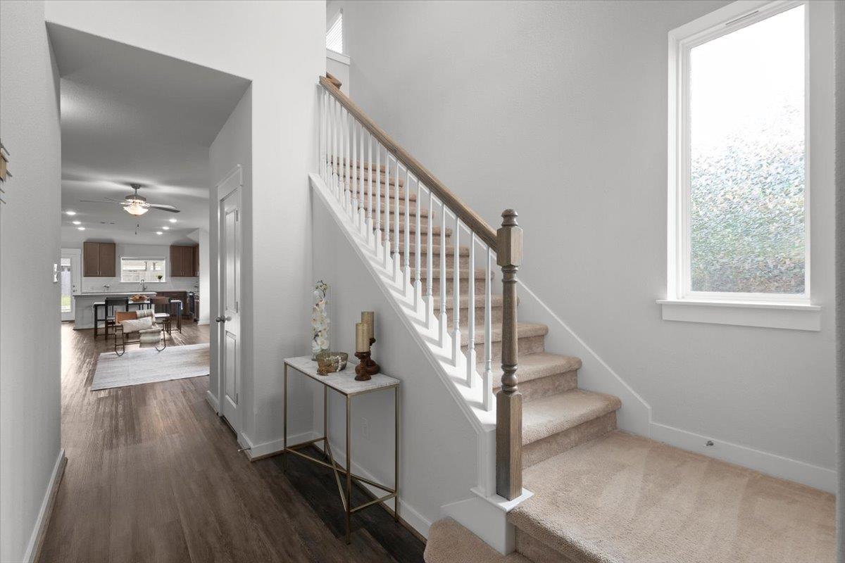 321 Buffalo View LN