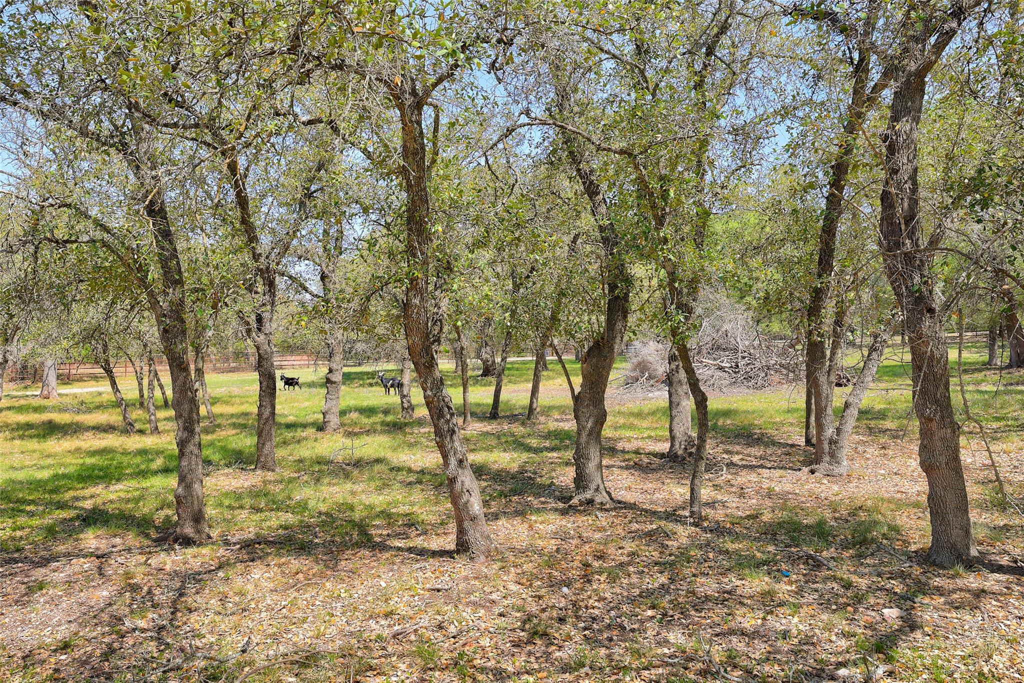 591 Young Ranch RD