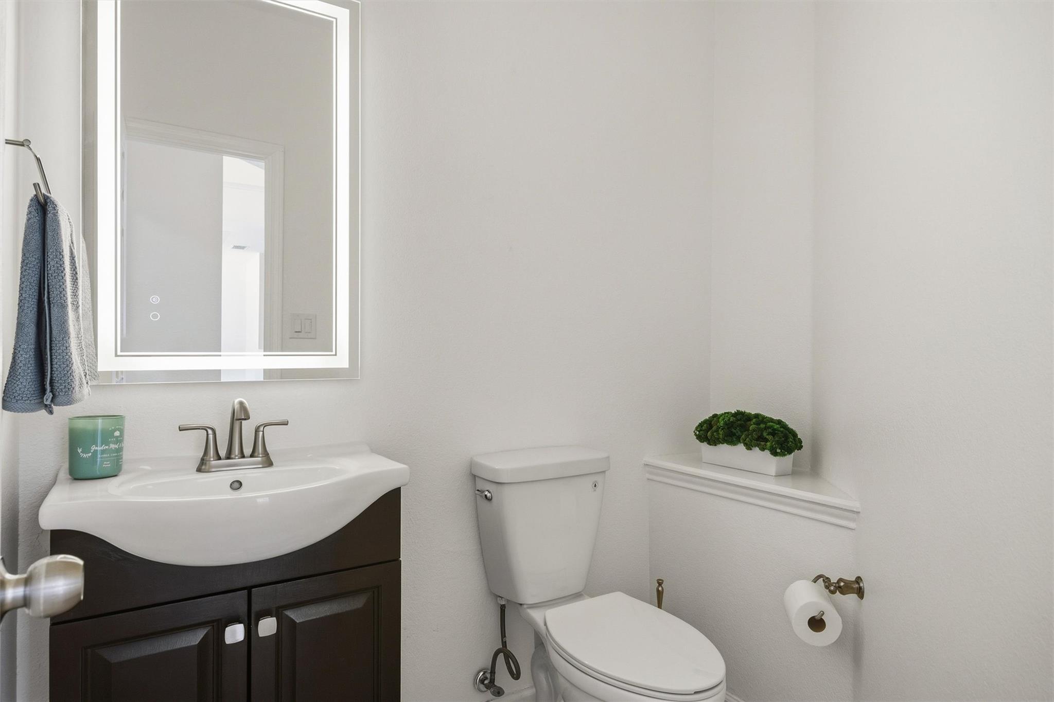 Bathroom with a dark vanity and white sink beside a toilet and small potted plant.