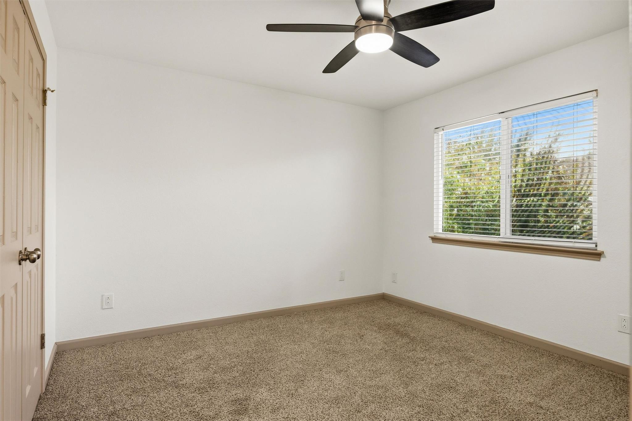 Empty bedroom with beige carpet, a ceiling fan, and a window overlooking trees.