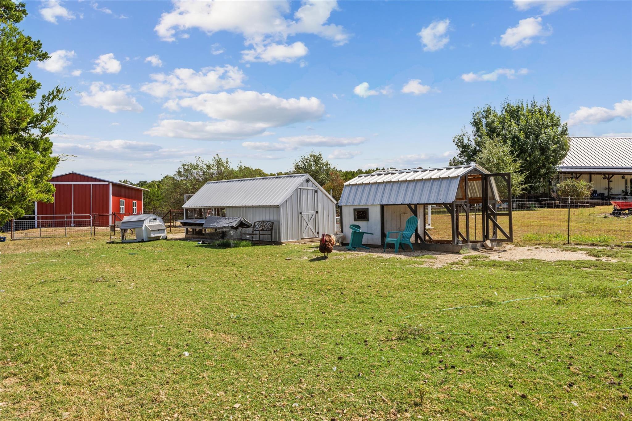 Rural property yard with metal-roofed animal shelters, fenced enclosures, and a chicken on the grass.