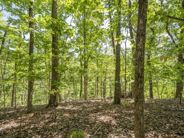 0 HOLLOW TREE RD
