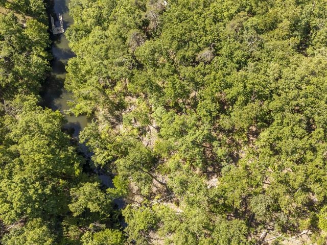 0 HOLLOW TREE RD