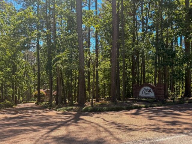 0 HOLLOW TREE RD