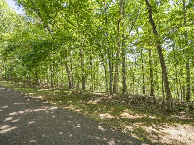 0 HOLLOW TREE RD