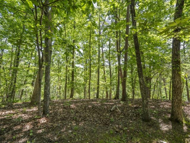 0 HOLLOW TREE RD
