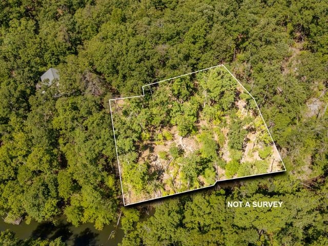 0 HOLLOW TREE RD