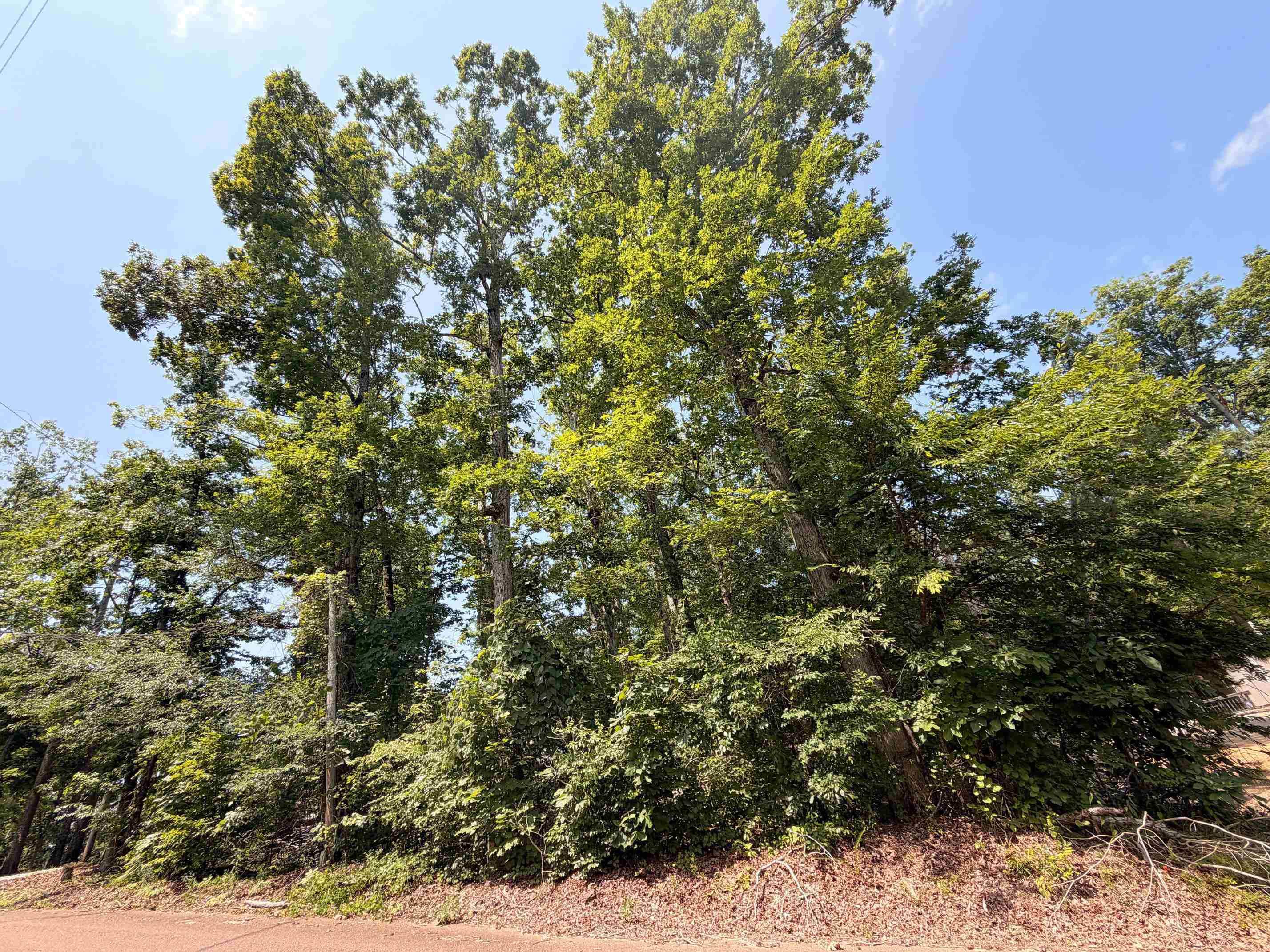 0 YELLOW CREEK LN