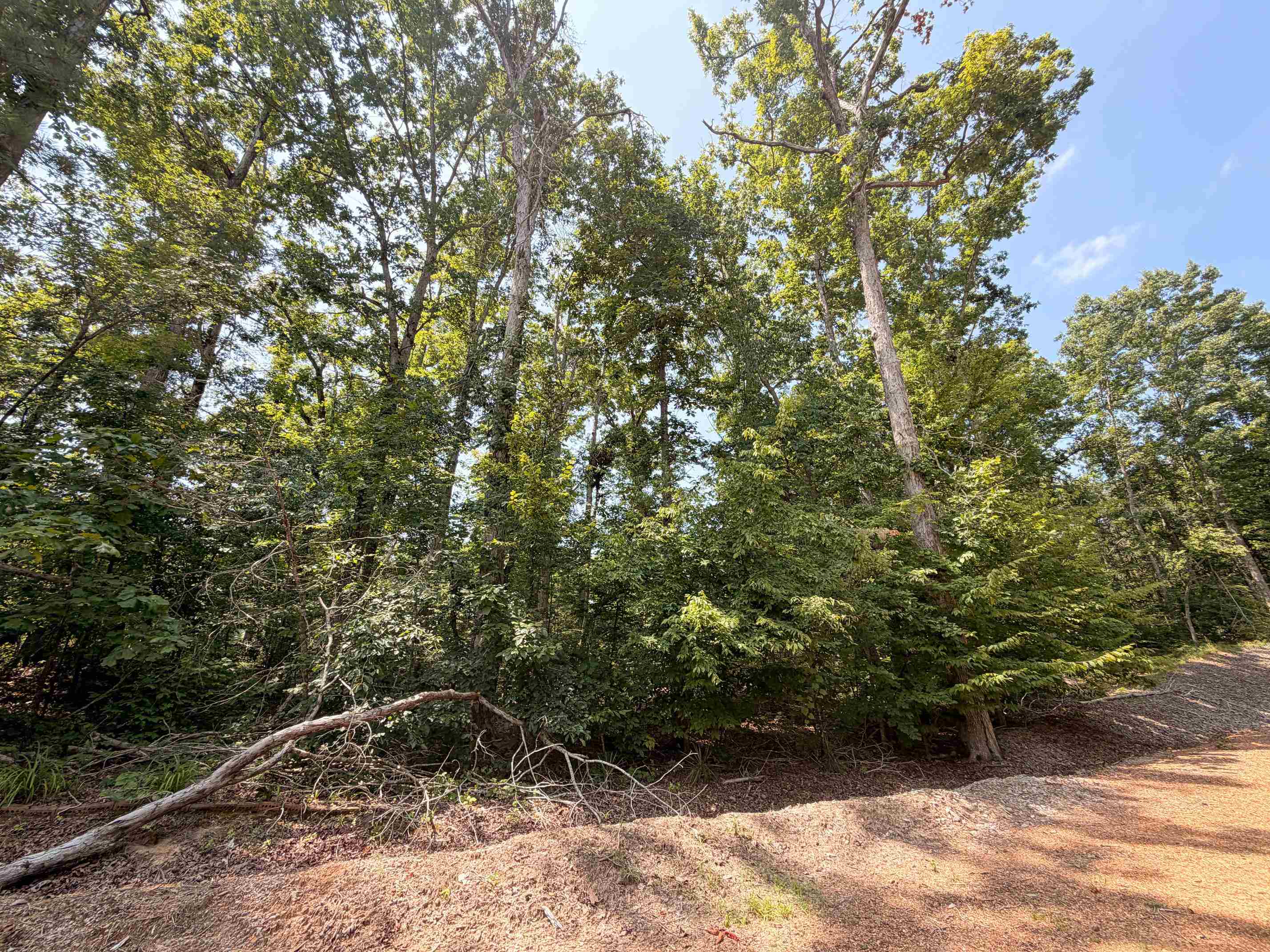 0 YELLOW CREEK LN