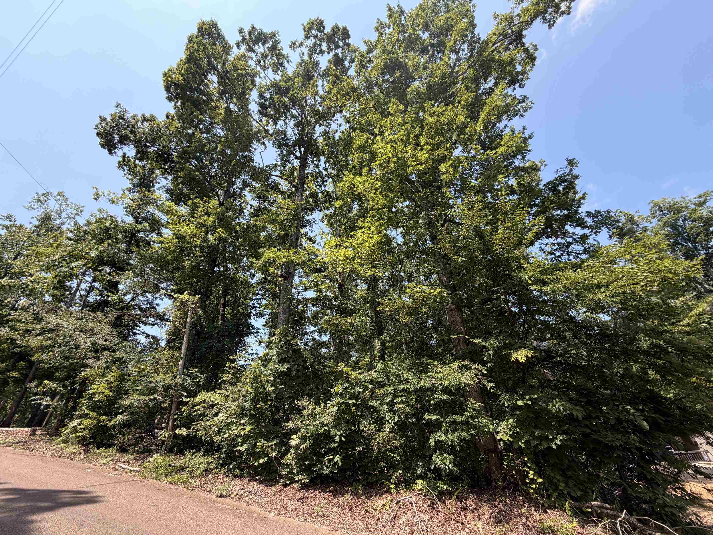 0 YELLOW CREEK LN