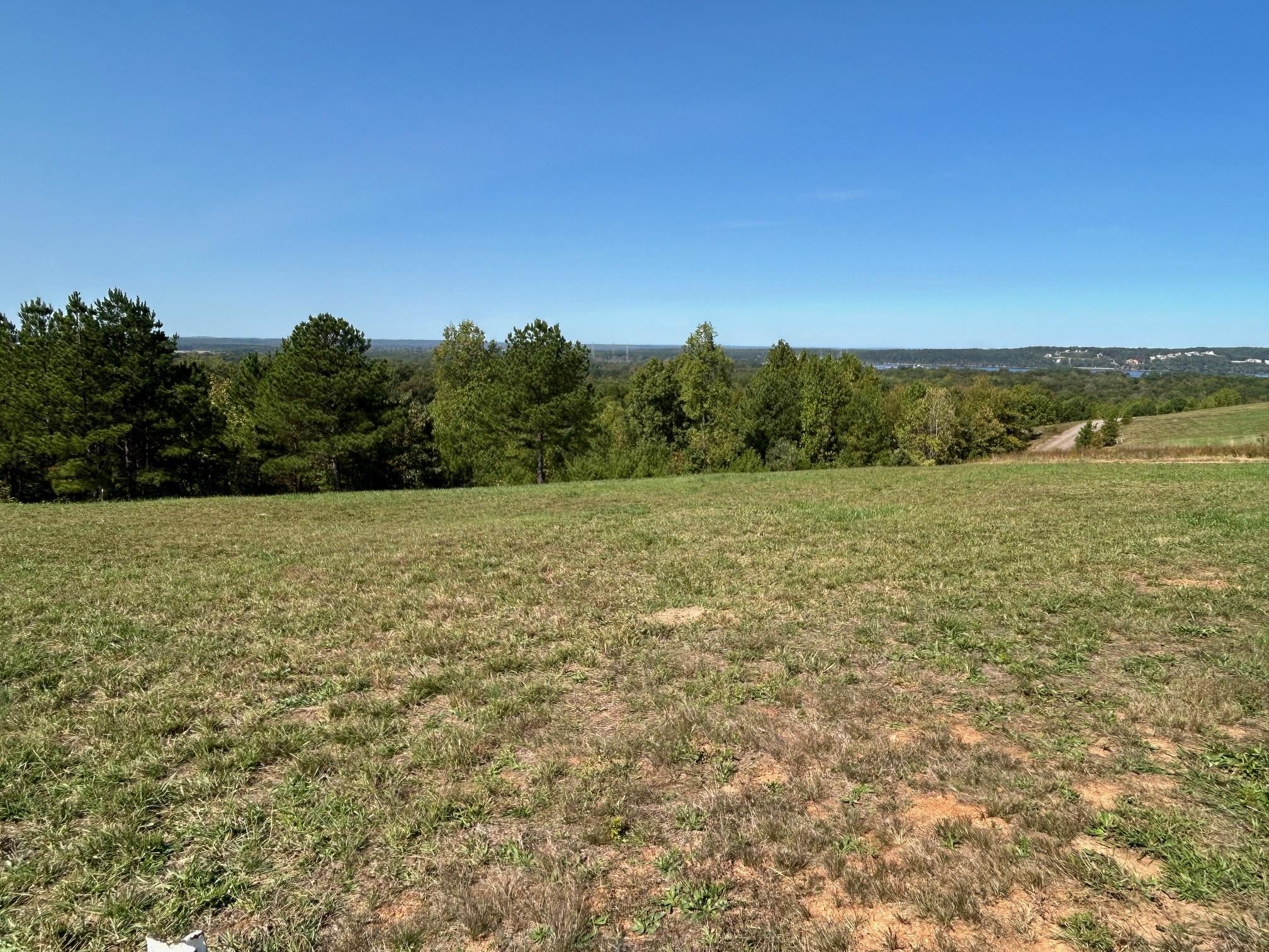375 TURKEY KNOB LN
