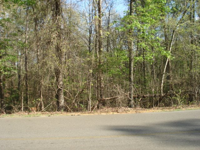229 SANDPIPER PT