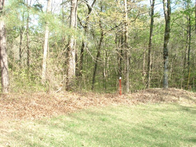 505A BRIAR CREEK RD