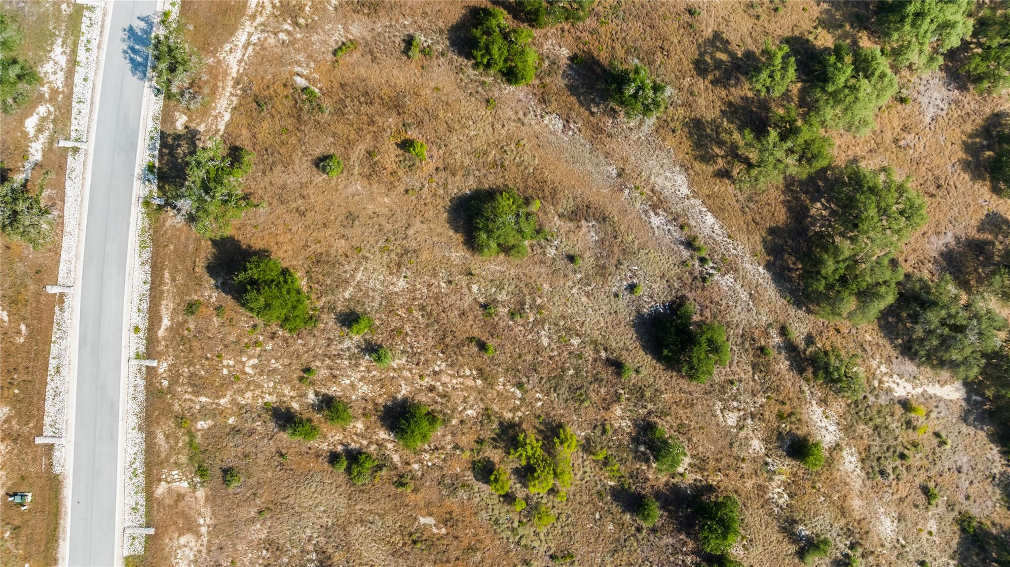 Aerial view of a vacant, scrub-covered lot with scattered trees beside a paved road.