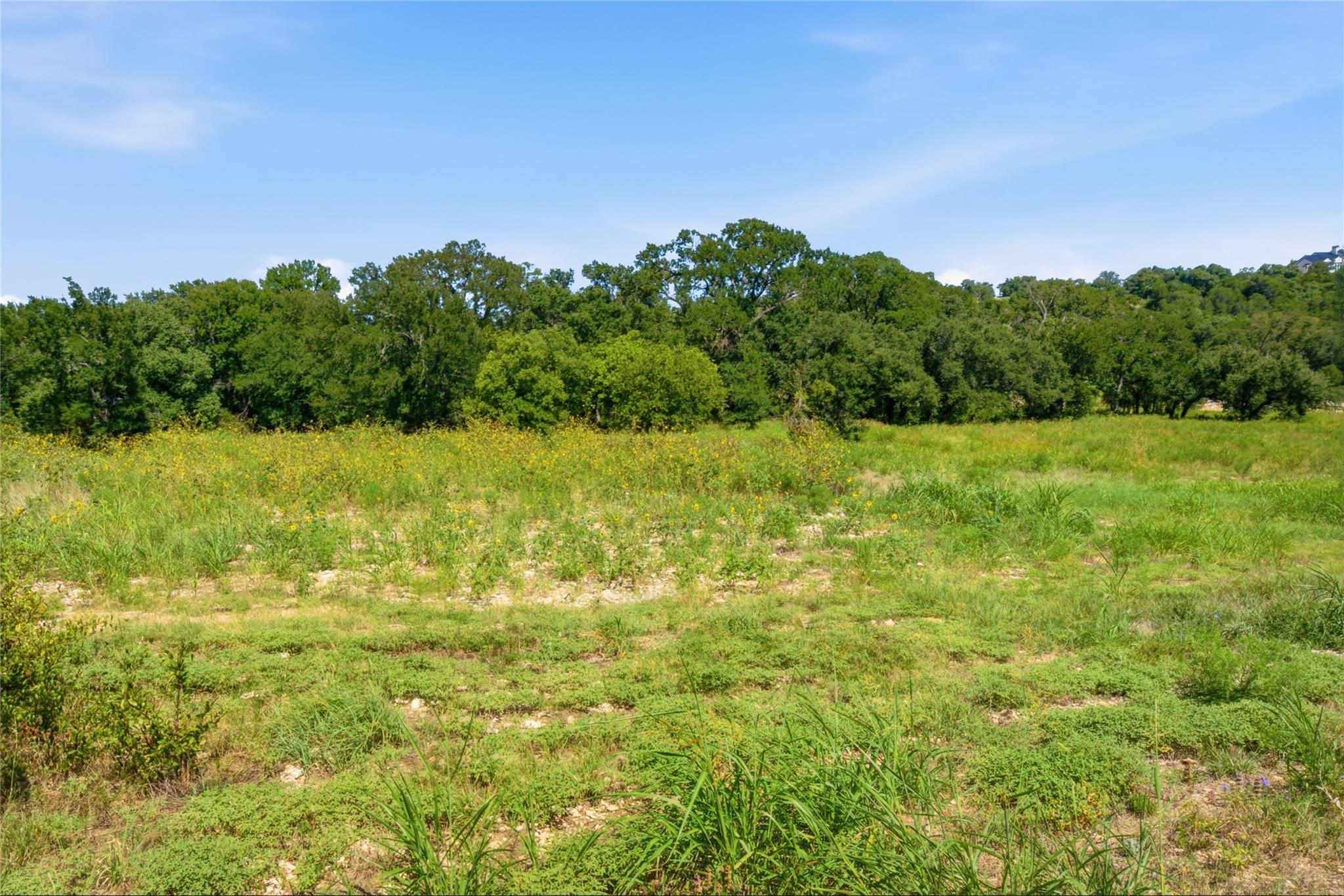 1300 Meadow Oak XING