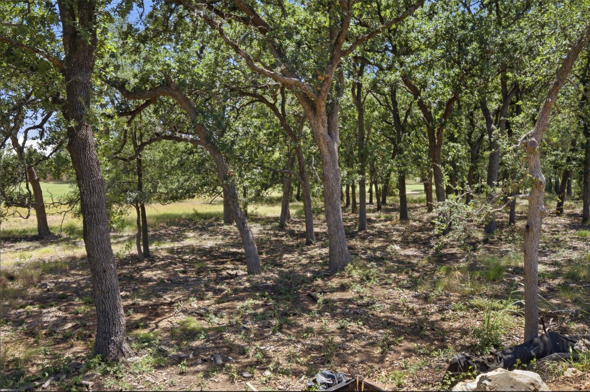 365 Joya DR