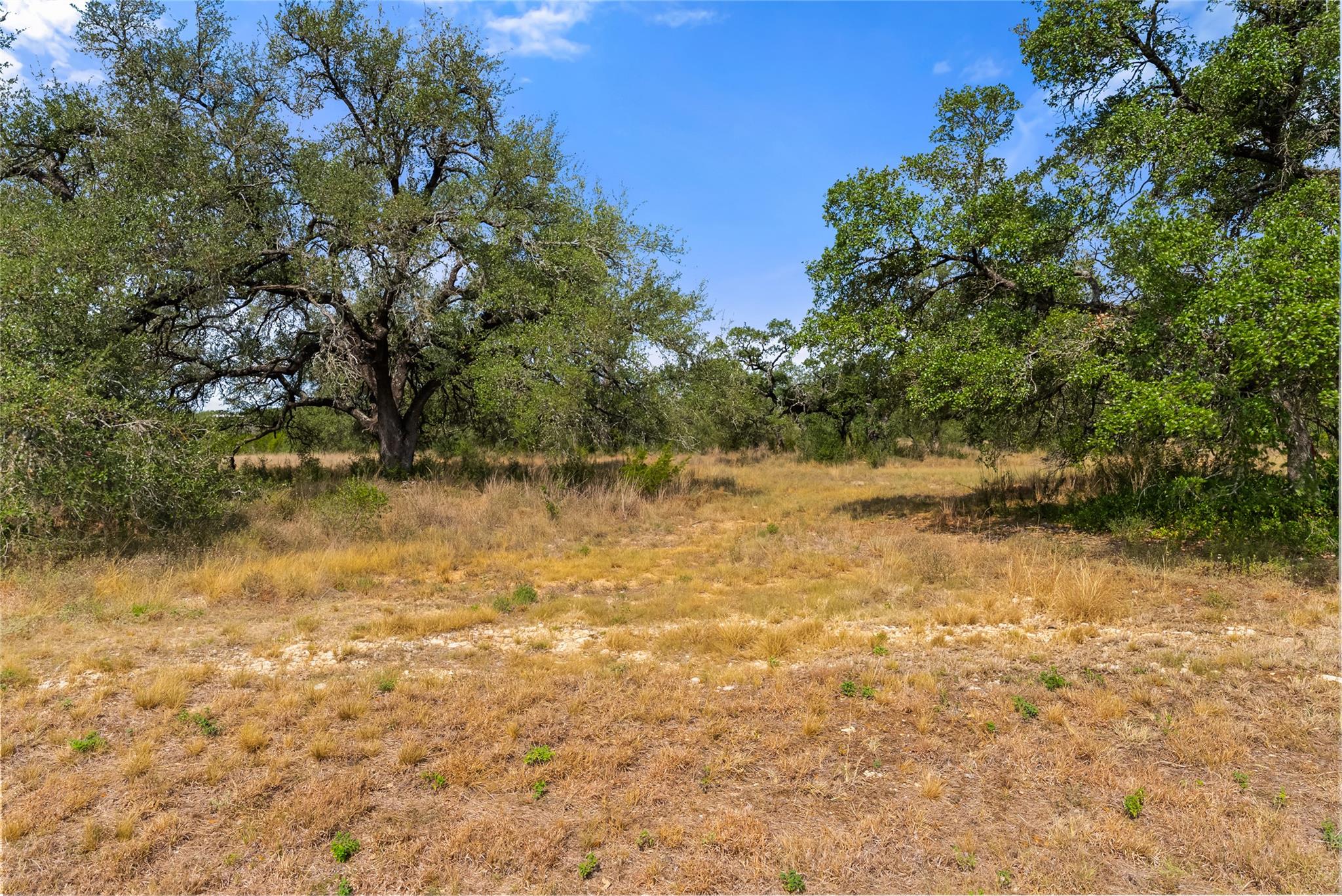 LOT 13 Tuscany DR