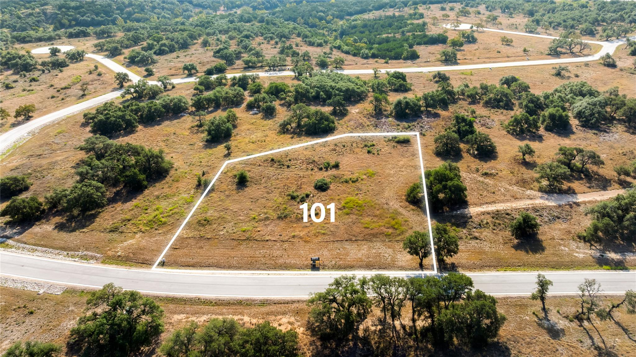 Aerial view of Lot 101, an outlined vacant parcel beside a paved road, dotted with trees.