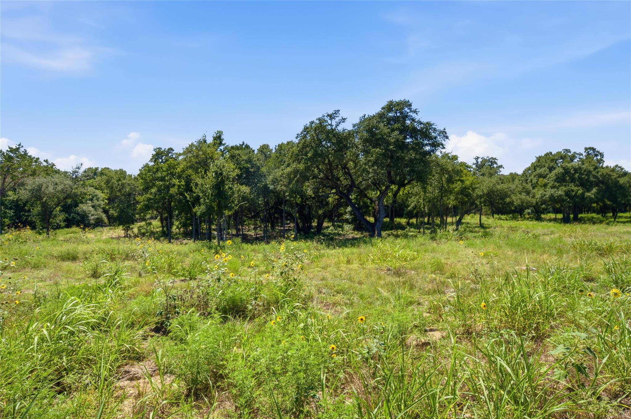 1313 Meadow Oak XING