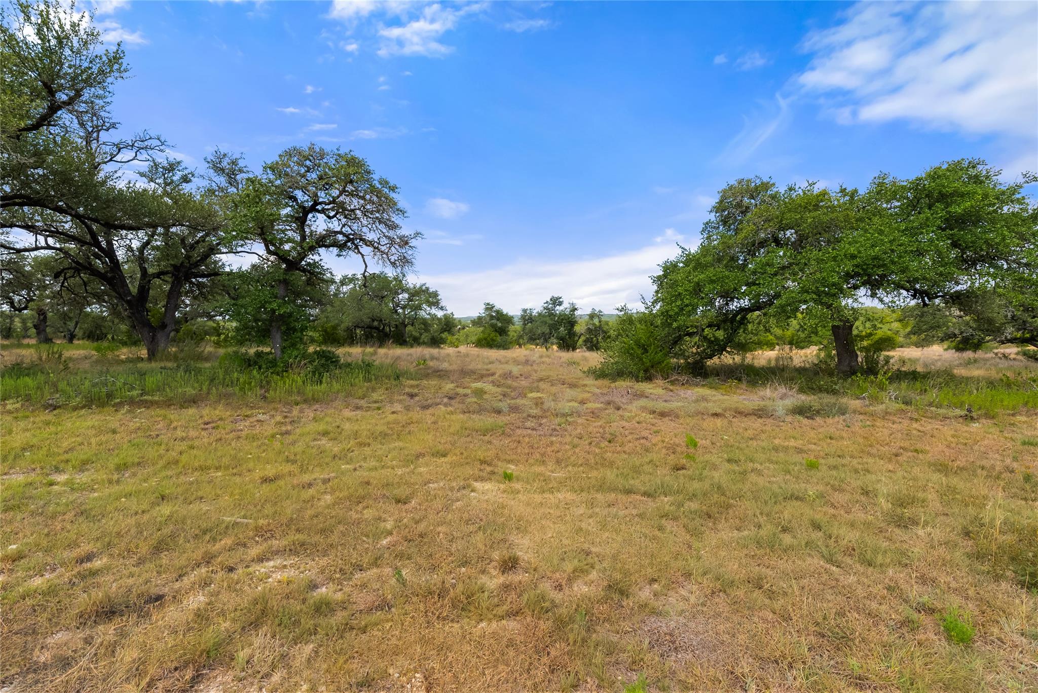 Vacant grassy lot with mature oak trees and open ground