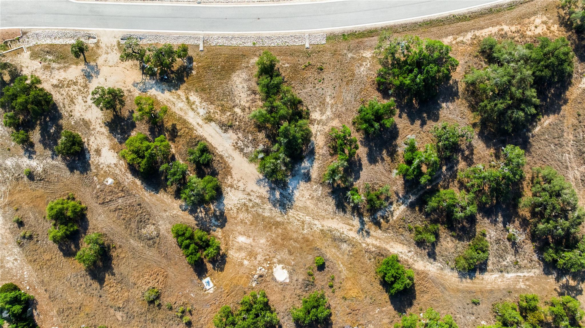 Aerial view of a vacant lot with scattered trees and a dirt track beside a paved road.