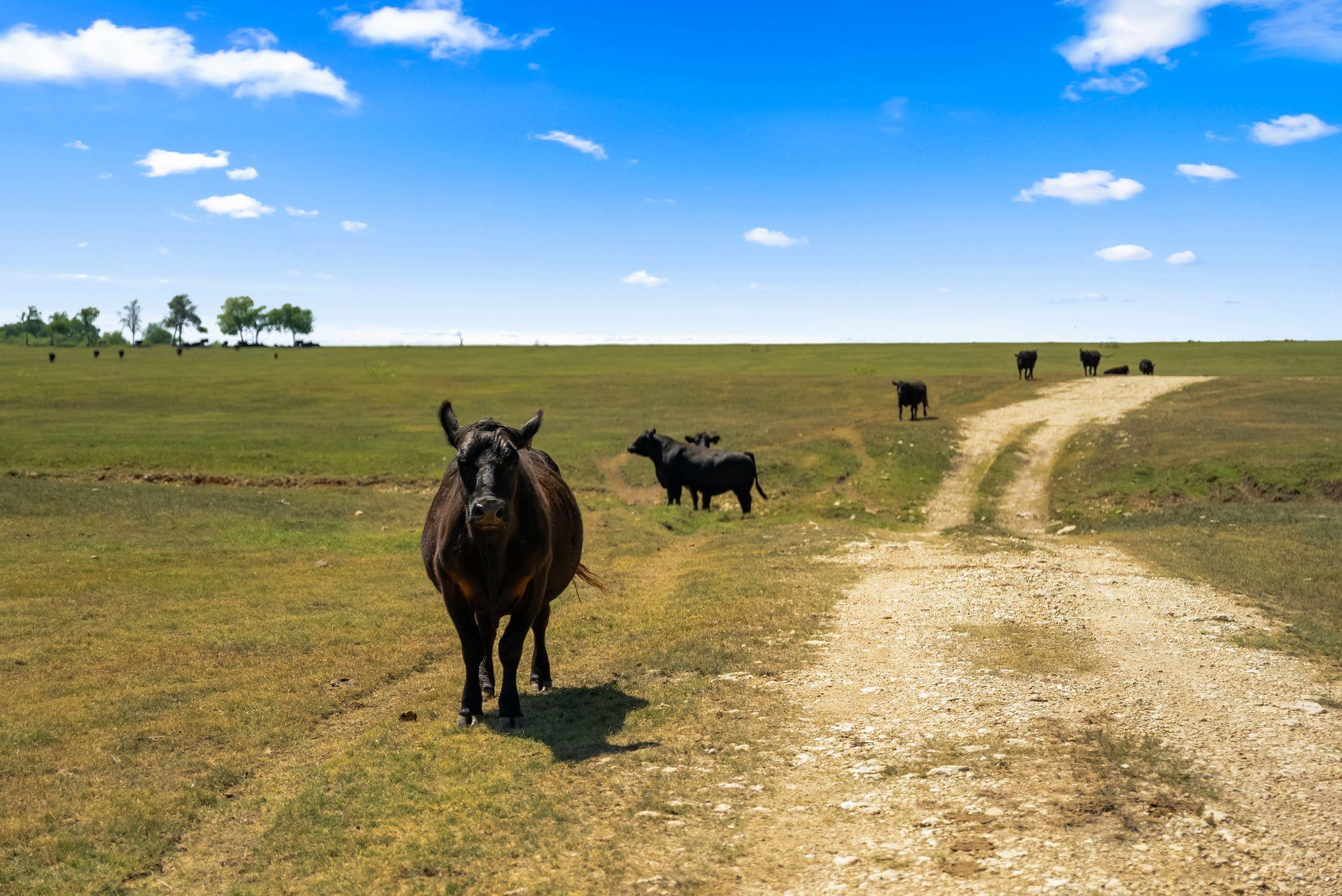 0000 Solana Ranch RD