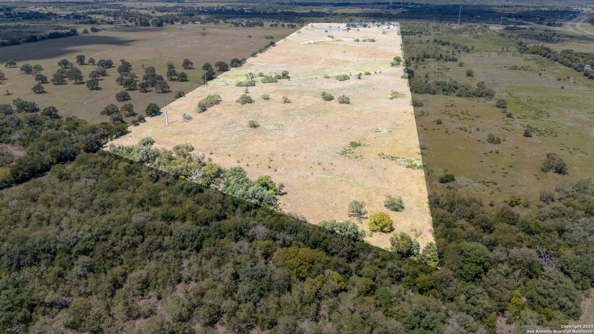 TBD pine meadow