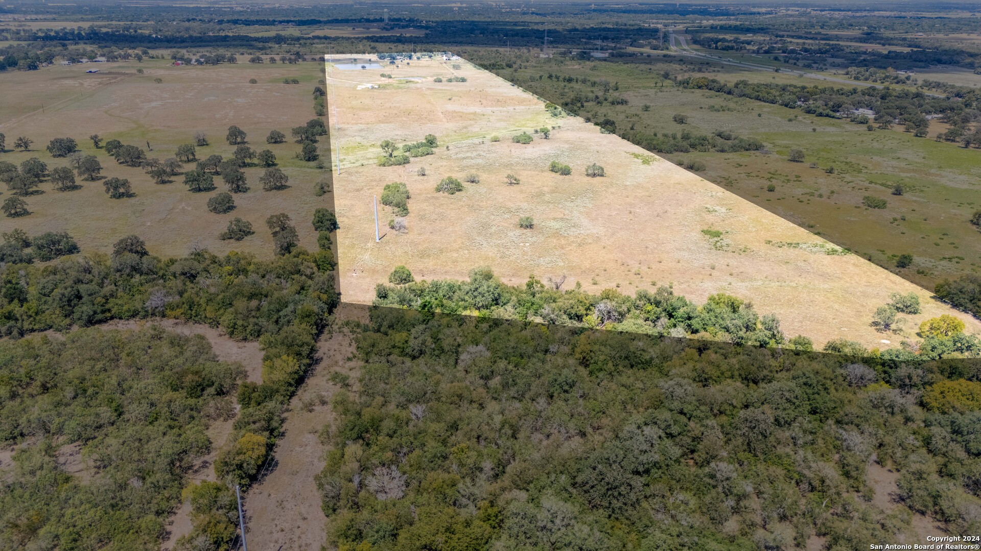 TBD pine meadow