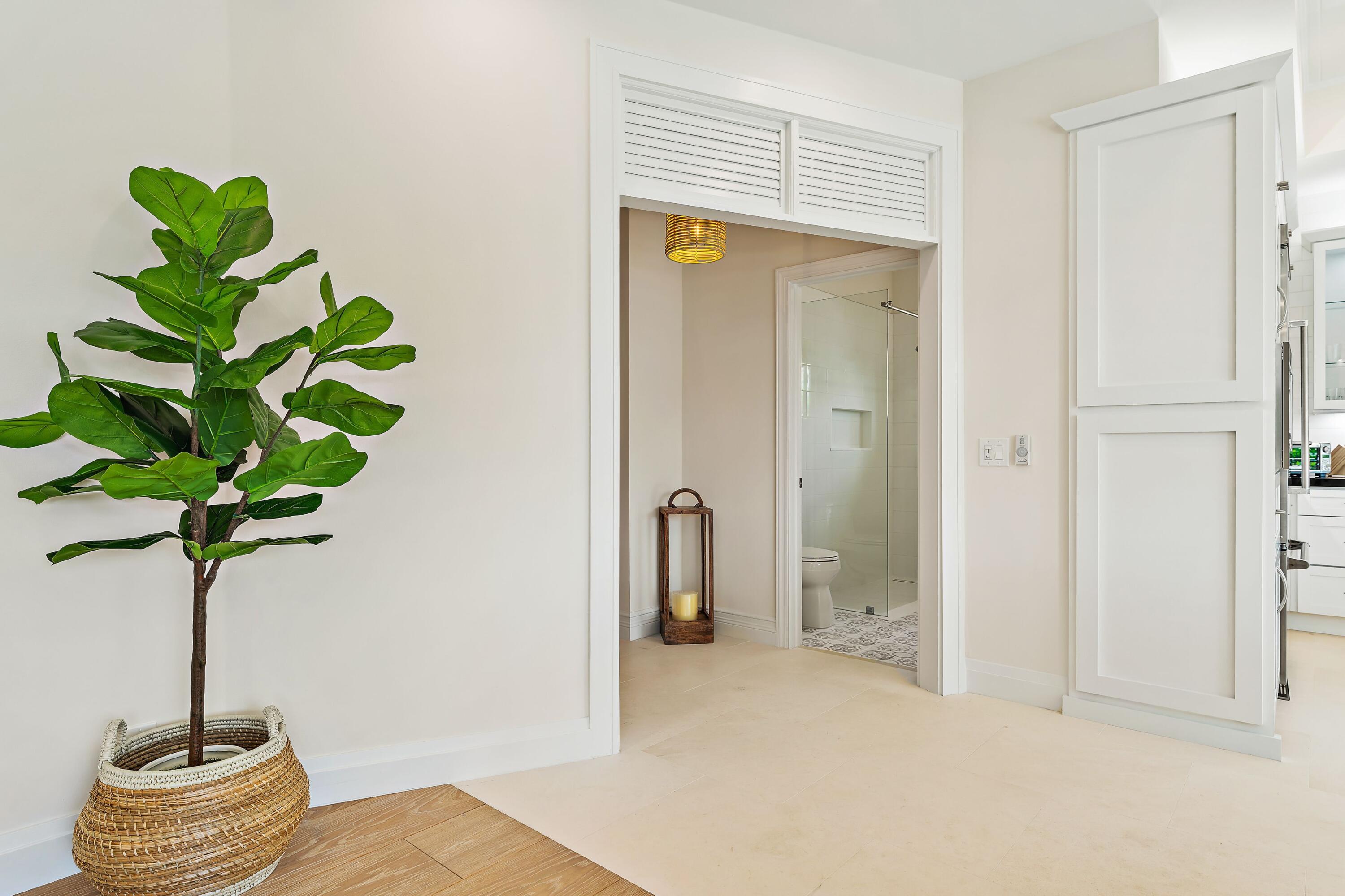 28 Coconut Lane