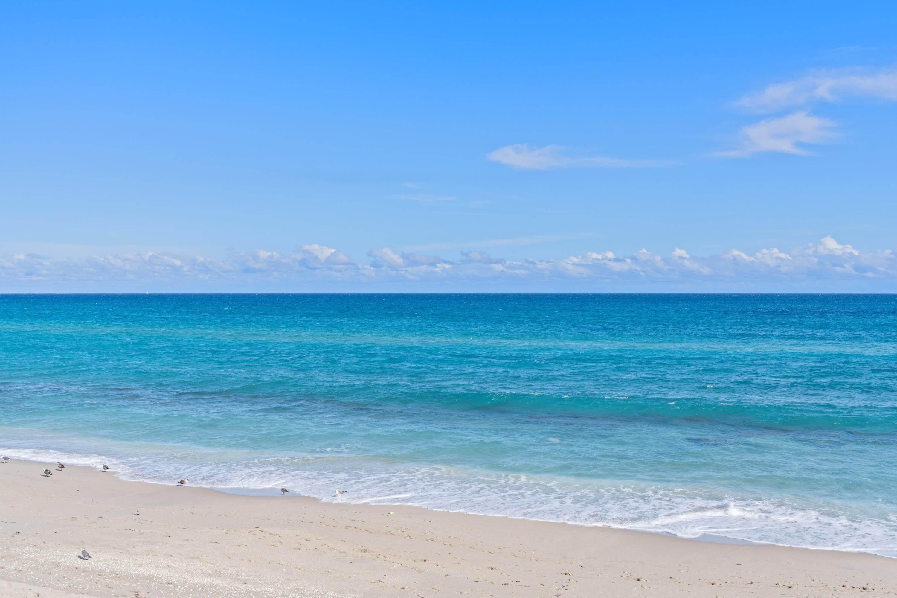 3610 S Ocean Boulevard 311