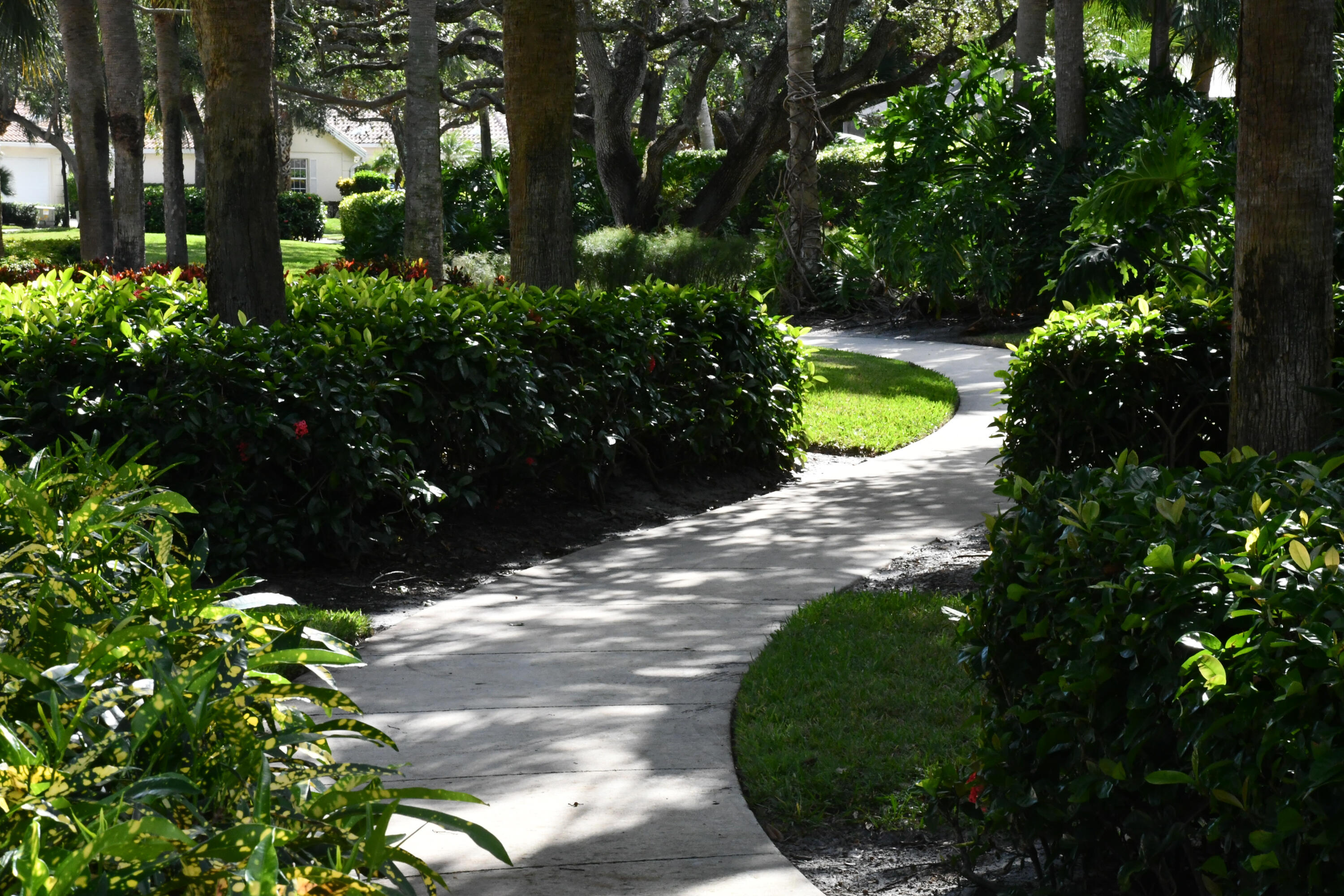 294 Kelsey Park Circle